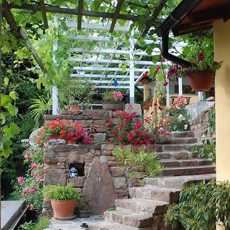 Am Berggarten Heidelberg Luaran gambar