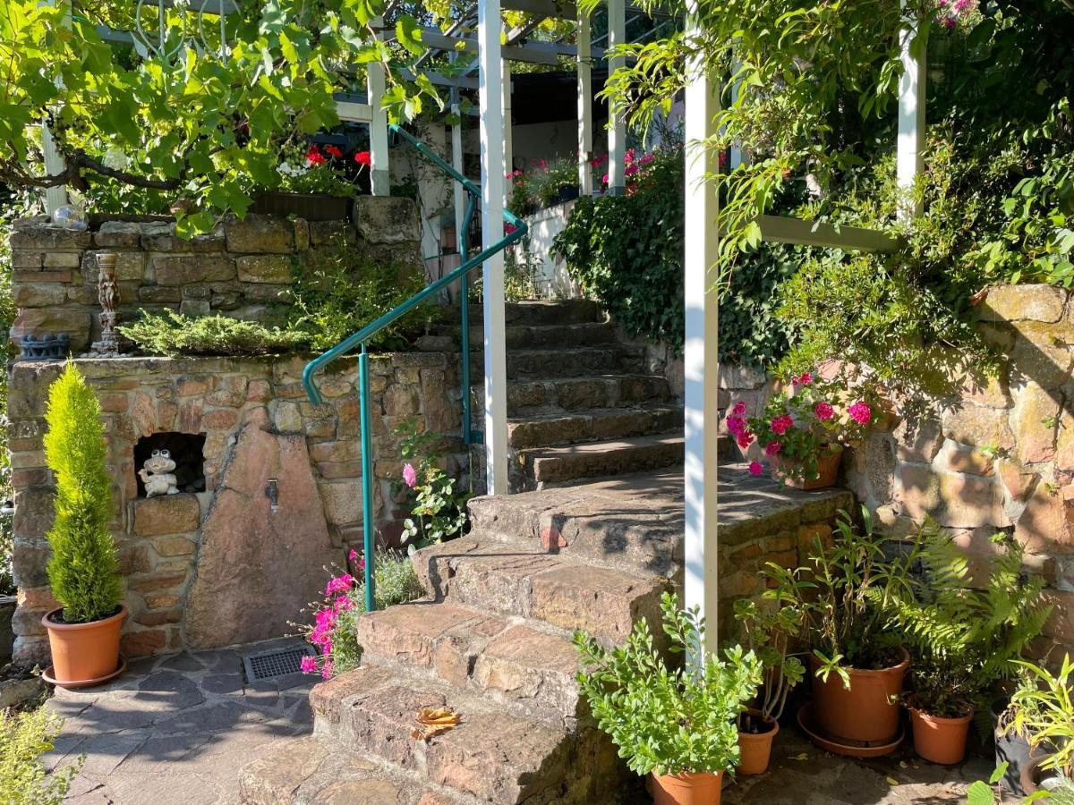 Am Berggarten Heidelberg Luaran gambar