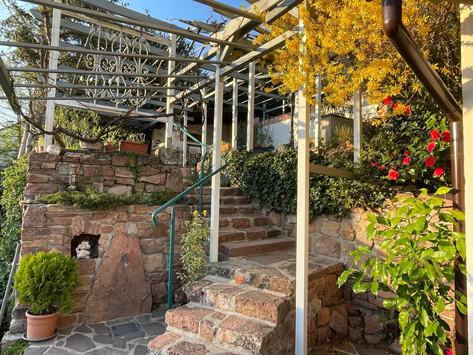 Am Berggarten Heidelberg Luaran gambar