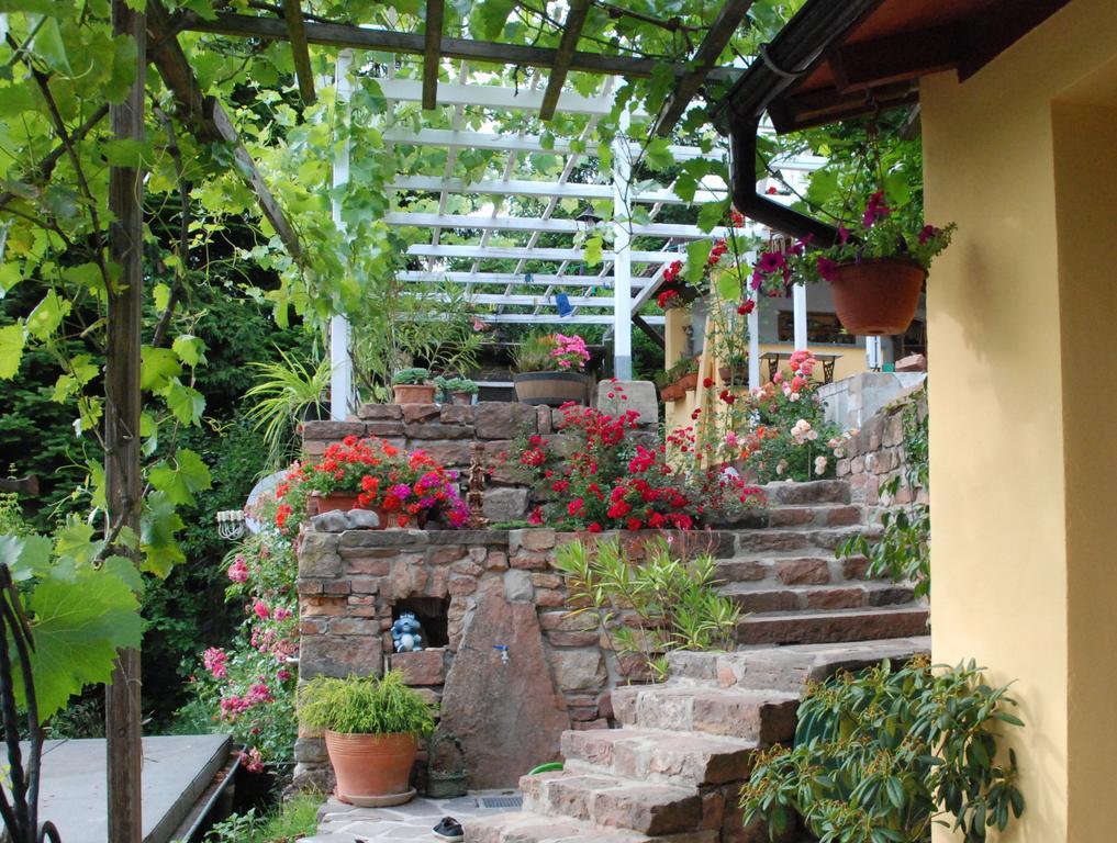 Am Berggarten Heidelberg Luaran gambar