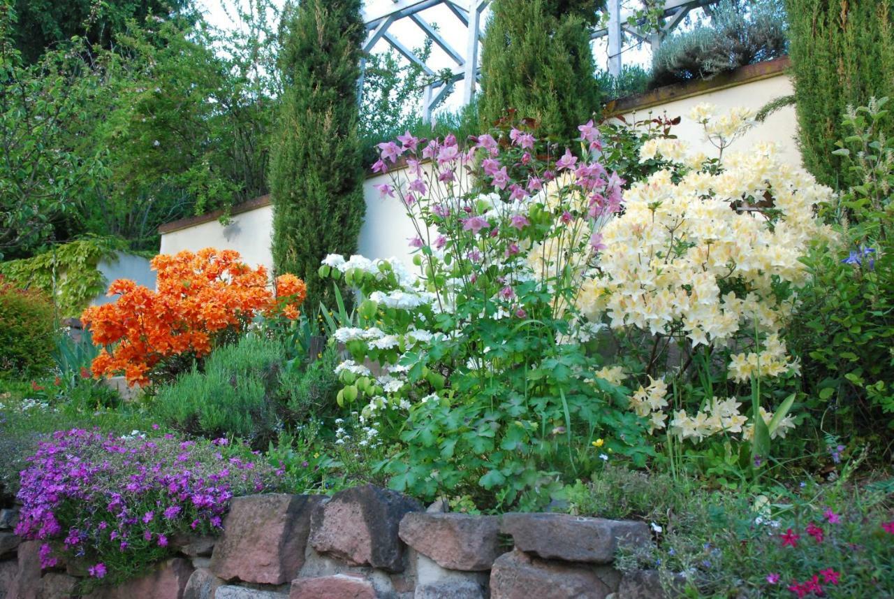 Am Berggarten Heidelberg Luaran gambar