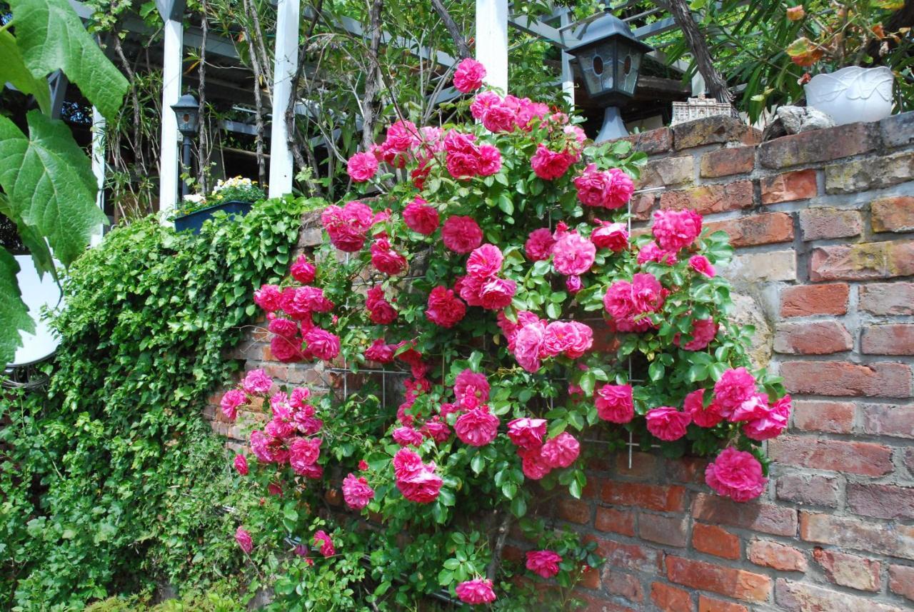 Am Berggarten Heidelberg Luaran gambar